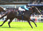 Jockey in blue striped silks riding a dark horse during a crowded horse race on a sunny day.