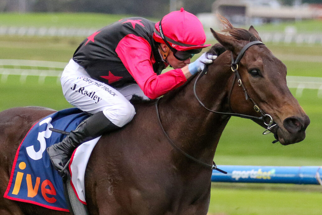 Jockey in pink helmet and black-and-pink vest rides a brown horse during a race on a grassy track, leaning forward in action.
