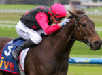 Jockey in pink helmet and black-and-pink vest rides a brown horse during a race on a grassy track, leaning forward in action.