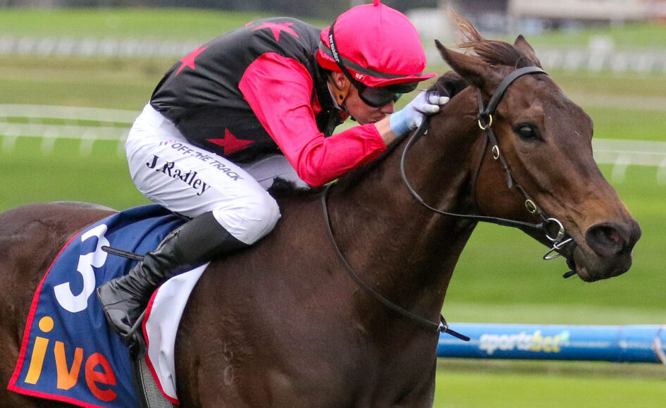 Jockey in pink helmet and black-and-pink vest rides a brown horse during a race on a grassy track, leaning forward in action.