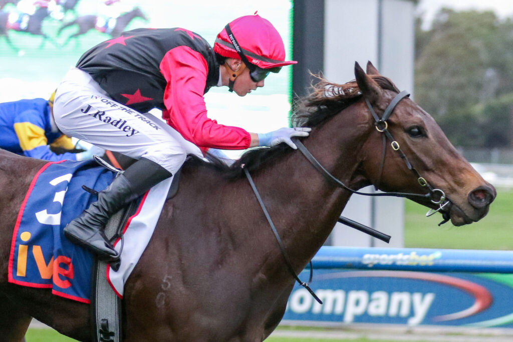 Jockey in red and black silks leans forward on a brown horse during a race, close to the track side barriers.