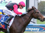 Jockey in red and black silks leans forward on a brown horse during a race, close to the track side barriers.