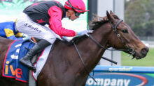 Jockey in red and black silks leans forward on a brown horse during a race, close to the track side barriers.