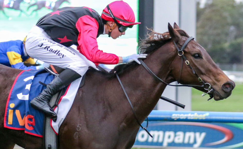 Jockey in red and black silks leans forward on a brown horse during a race, close to the track side barriers.