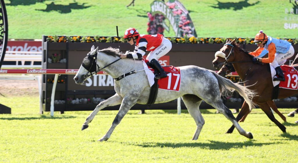 Gray horse wearing red bib 17, ridden by a jockey in red and white, sprinting on a grassy racecourse with another horse close behind.