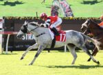 Gray horse wearing red bib 17, ridden by a jockey in red and white, sprinting on a grassy racecourse with another horse close behind.