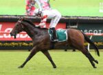 Jockey in white and red silks rides a dark horse over a turf racetrack with red rails and green infield in the background.