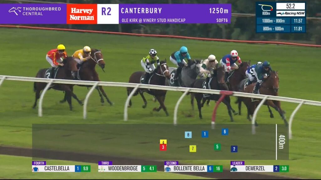 Thoroughbred horse race on a green turf track; jockeys in colorful silks push toward the right, with on-screen overlays showing race numbers, positions, and the current leader beneath a purple sponsor banner.