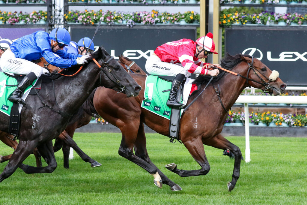 Jockeys in blue and red silks race side by side on fast galloping horses on a grassy track, leaning forward.