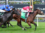 Jockeys in blue and red silks race side by side on fast galloping horses on a grassy track, leaning forward.