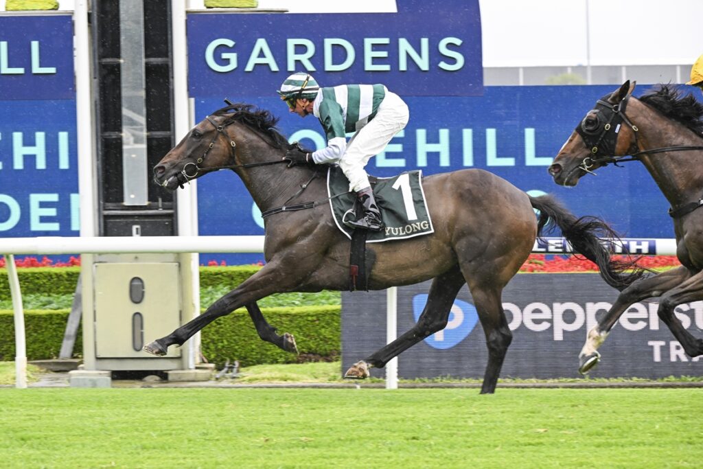 Jockey in green-and-white silks rides a brown racehorse with saddlecloth number 1 on a turf track, galloping past advertising boards.