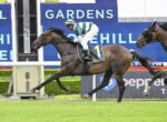 Jockey in green-and-white silks rides a brown racehorse with saddlecloth number 1 on a turf track, galloping past advertising boards.