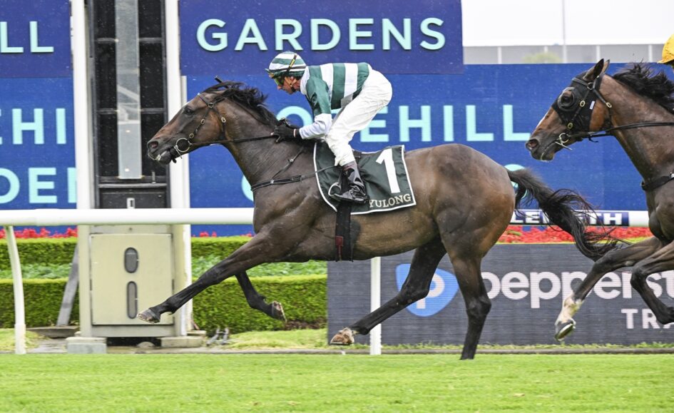 Jockey in green-and-white silks rides a brown racehorse with saddlecloth number 1 on a turf track, galloping past advertising boards.
