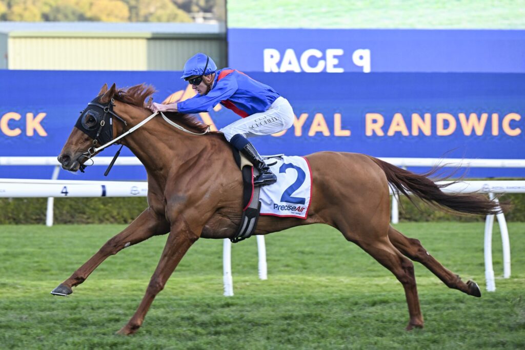 Jockey in blue silks and helmet rides a galloping chestnut horse on a racecourse with a blue advertising wall in the background.