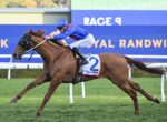 Jockey in blue silks and helmet rides a galloping chestnut horse on a racecourse with a blue advertising wall in the background.