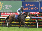 Jockey on a dark brown horse racing along a track with bright sponsor banners in the background, including Sporting Chance Cancer Foundation.