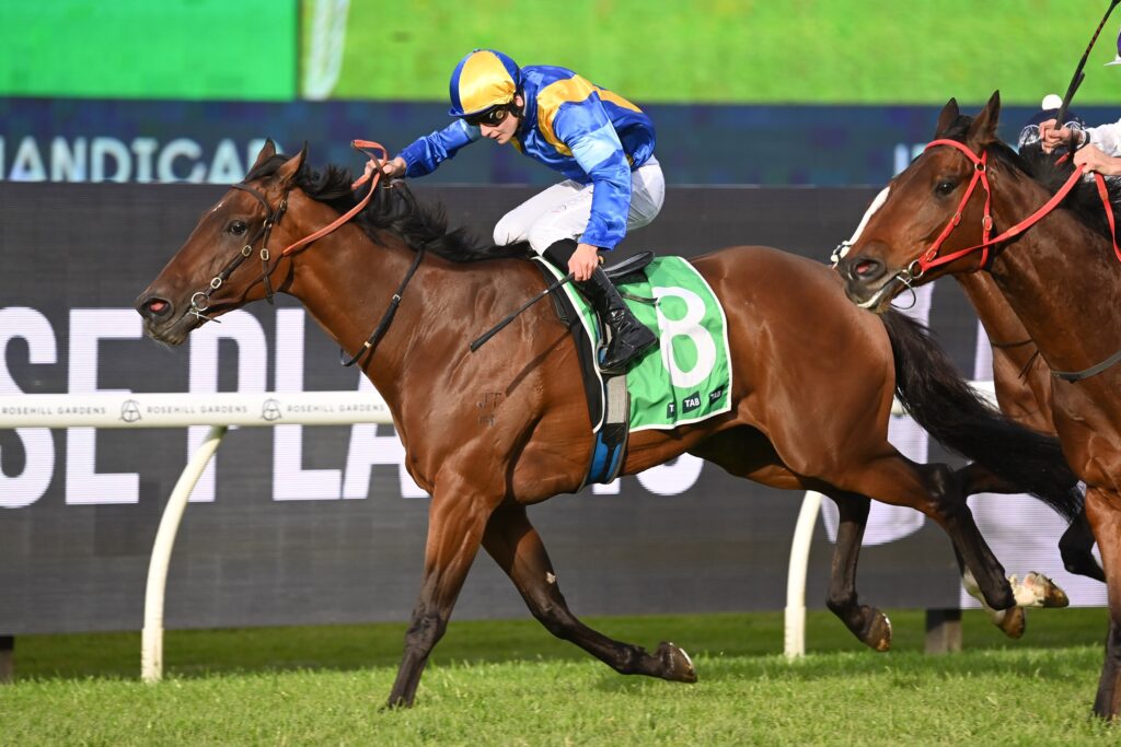 Jockey in blue and yellow silks riding a brown horse during a race on a grassy track with other horses nearby