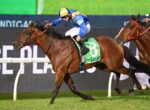 Jockey in blue and yellow silks riding a brown horse during a race on a grassy track with other horses nearby