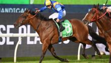 Jockey in blue and yellow silks riding a brown horse during a race on a grassy track with other horses nearby