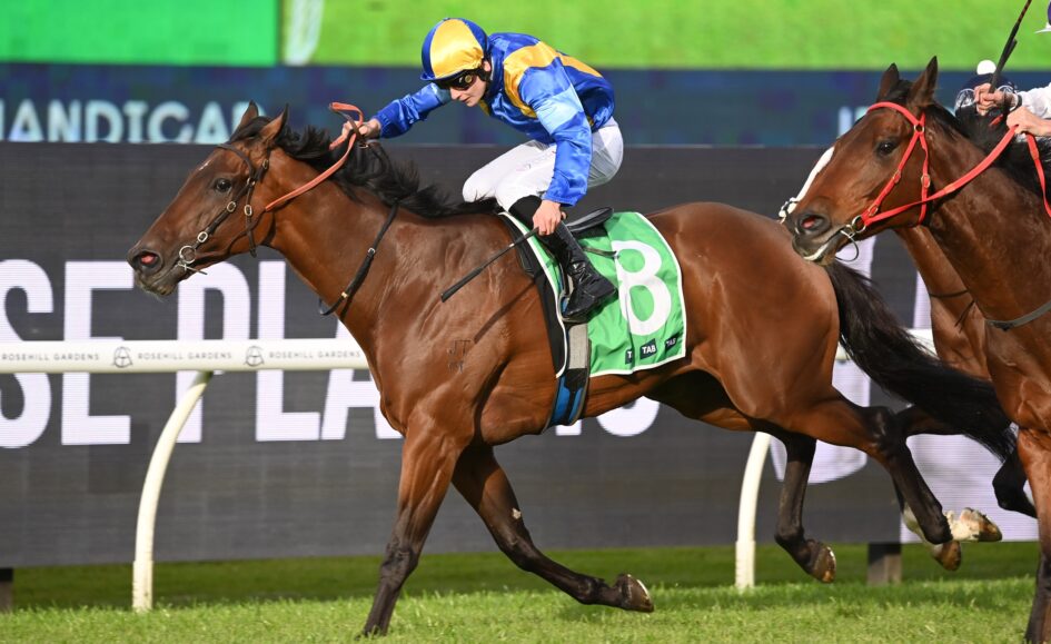 Jockey in blue and yellow silks riding a brown horse during a race on a grassy track with other horses nearby