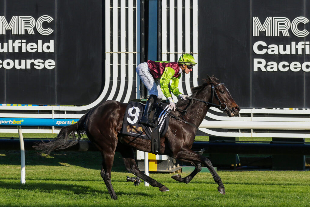 Jockey in neon green helmet and jacket riding a dark horse over a hurdle at a racecourse.