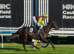 Jockey in neon green helmet and jacket riding a dark horse over a hurdle at a racecourse.
