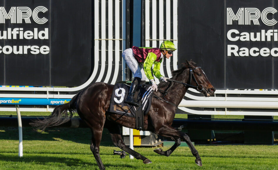 Jockey in neon green helmet and jacket riding a dark horse over a hurdle at a racecourse.