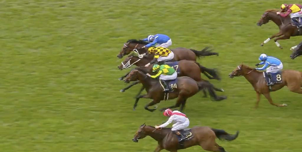 Horses race on a green turf track with jockeys in bright silks in a packed finish moment.