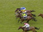 Horses race on a green turf track with jockeys in bright silks in a packed finish moment.
