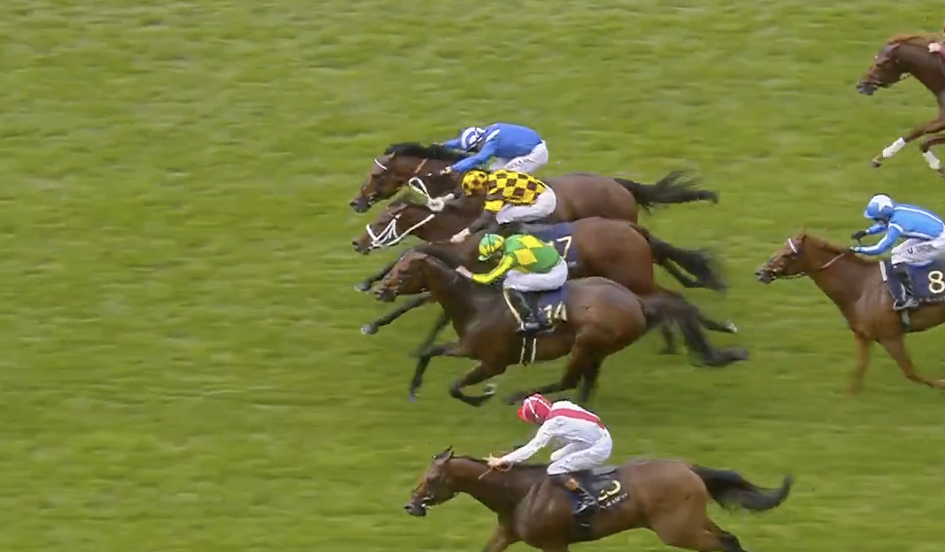 Horses race on a green turf track with jockeys in bright silks in a packed finish moment.
