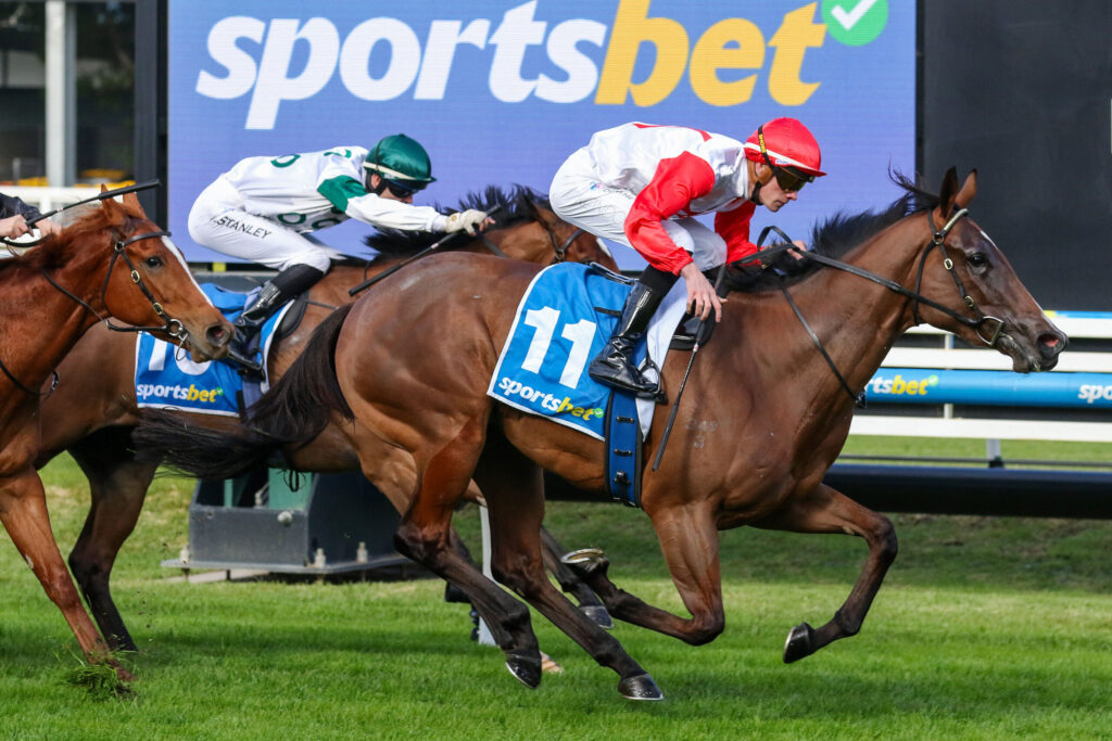 Horse race in progress with jockeys in red/white and green outfits, blue saddlecloth labeled 11, on a grassy track with a Sportsbet banner in background.