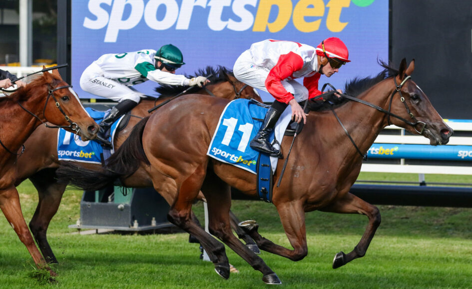Horse race in progress with jockeys in red/white and green outfits, blue saddlecloth labeled 11, on a grassy track with a Sportsbet banner in background.