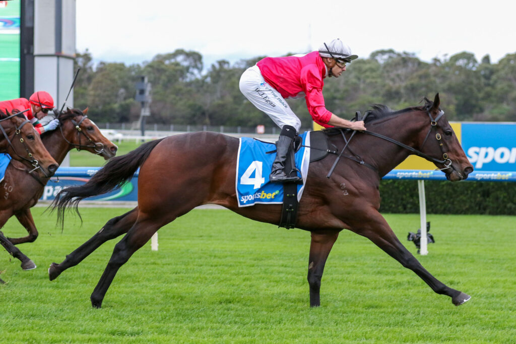 Jockey in a red shirt and white pants rides a brown racehorse with a blue number‑4 saddlecloth, leaning forward mid‑race on a grassy track.
