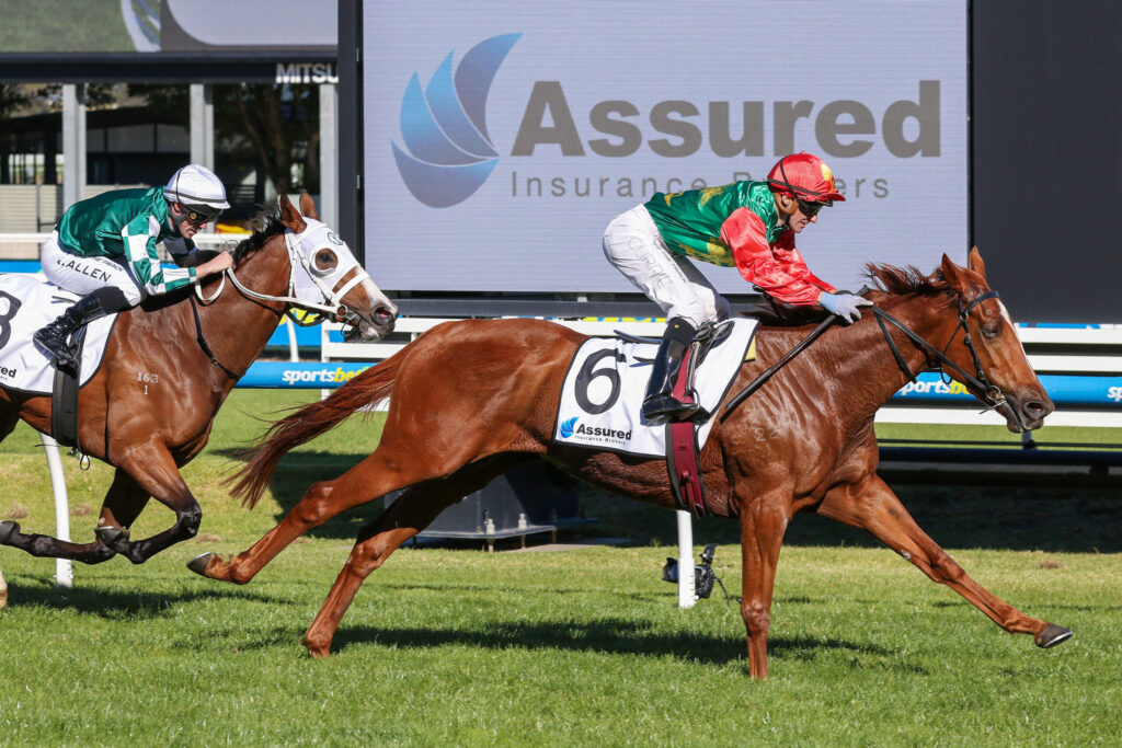Two jockeys race their horses on a grassy track with a large Assured Insurance Brokers sign in the background.