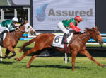 Two jockeys race their horses on a grassy track with a large Assured Insurance Brokers sign in the background.