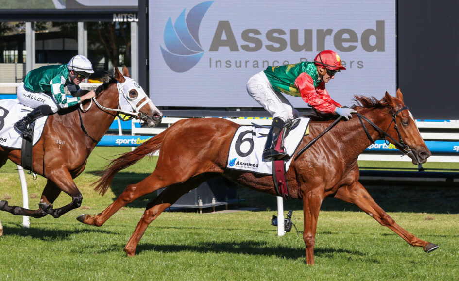 Two jockeys race their horses on a grassy track with a large Assured Insurance Brokers sign in the background.