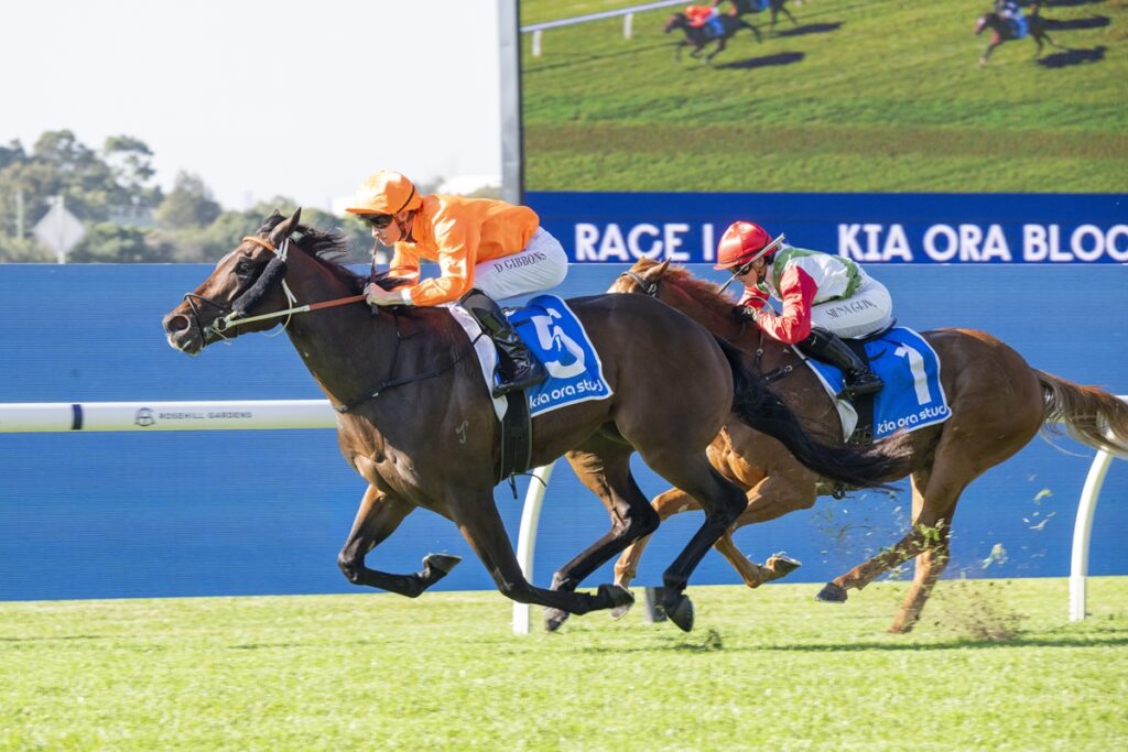 Two jockeys in bright silks ride racehorses on a sunny turf track, with a blue railing behind them; the lead horse is dark brown and the trailing horse is chestnut, both near the finish line.