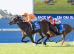 Two jockeys in bright silks ride racehorses on a sunny turf track, with a blue railing behind them; the lead horse is dark brown and the trailing horse is chestnut, both near the finish line.