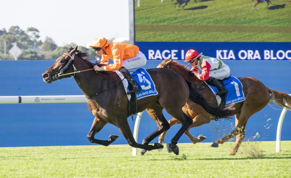 Two jockeys in bright silks ride racehorses on a sunny turf track, with a blue railing behind them; the lead horse is dark brown and the trailing horse is chestnut, both near the finish line.