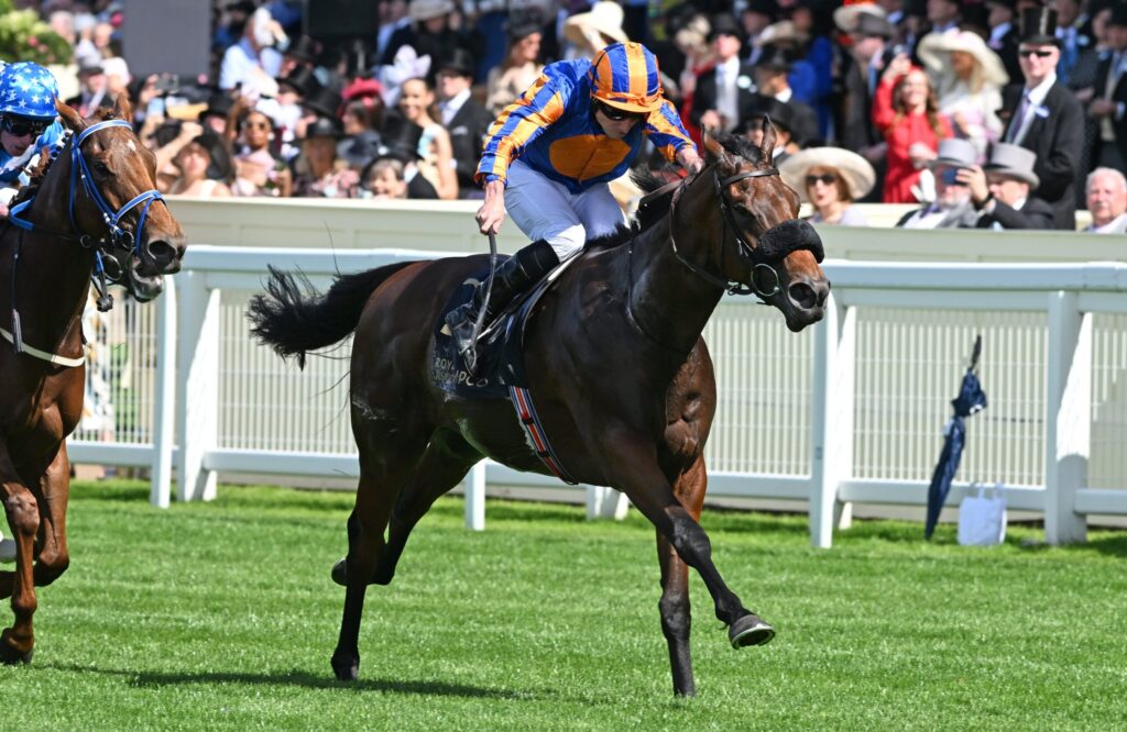 Jockey in orange and blue silks leaning forward on a dark horse during a race, with a cheering crowd in the background along the railing.