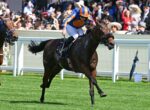 Jockey in orange and blue silks leaning forward on a dark horse during a race, with a cheering crowd in the background along the railing.