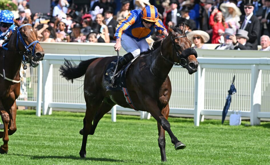 Jockey in orange and blue silks leaning forward on a dark horse during a race, with a cheering crowd in the background along the railing.