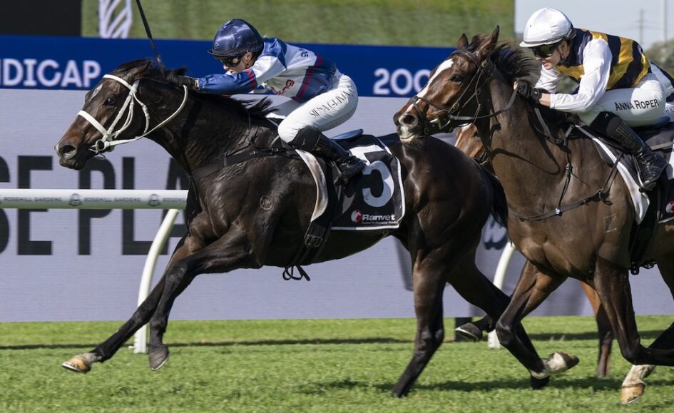 Two jockeys ride two galloping horses in a tight finish on a grassy racecourse, with a blue advertising board in the background.