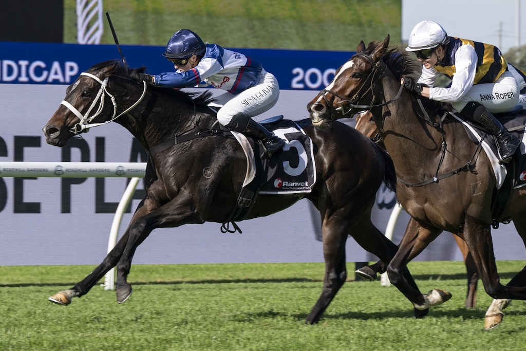Two jockeys ride two galloping horses in a tight finish on a grassy racecourse, with a blue advertising board in the background.