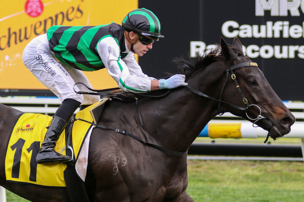 Jockey in green and black striped silks riding a dark horse during a race, leaning forward in action.