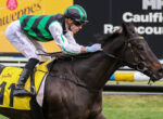 Jockey in green and black striped silks riding a dark horse during a race, leaning forward in action.