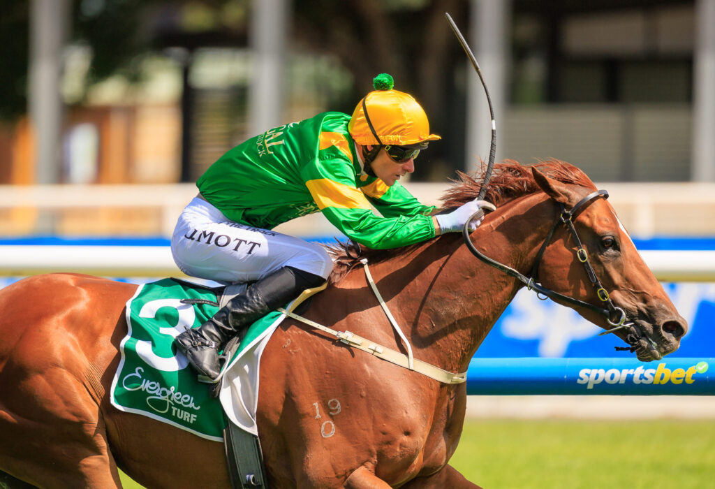 Jockey in green and yellow silks on a brown horse during a race, leaning forward as they jump over a hurdle with a blurred stadium backdrop.