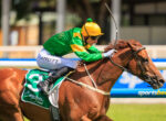 Jockey in green and yellow silks on a brown horse during a race, leaning forward as they jump over a hurdle with a blurred stadium backdrop.