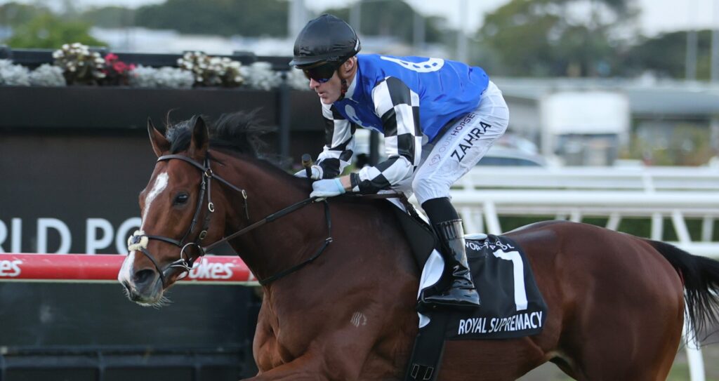 Jockey in blue-and-white checkered silks rides a galloping brown horse during a race, with a black helmet and sunglasses.