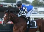 Jockey in blue-and-white checkered silks rides a galloping brown horse during a race, with a black helmet and sunglasses.